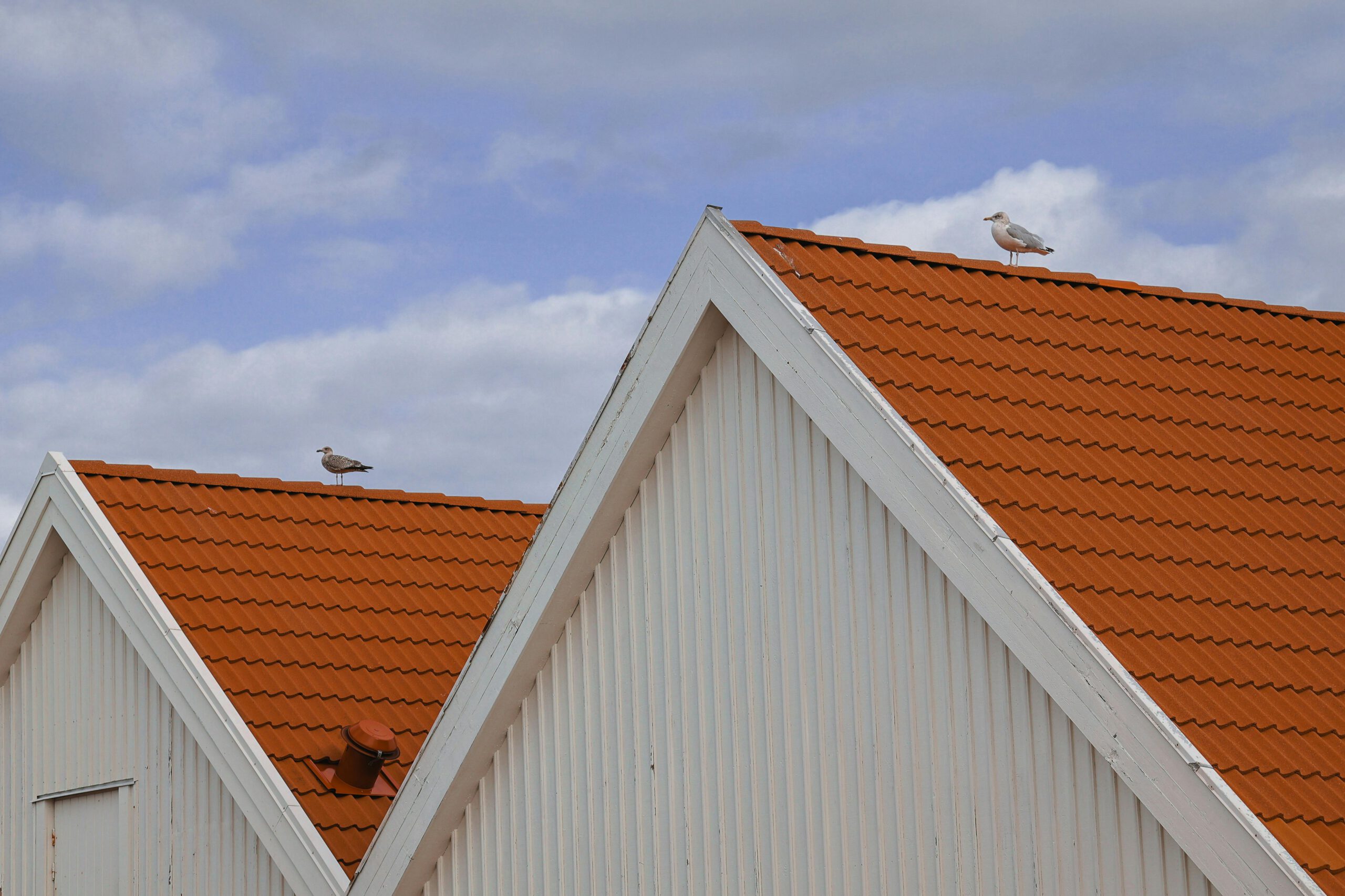 Delo Roofing: Pioneering Excellence in Comprehensive Roofing Services